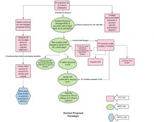 Lucid chart of the INFO process