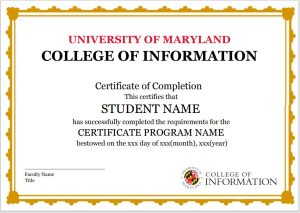 INFO Certificate Icon